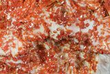 Ruby Red Vanadinite Crystals on Pink Barite - Morocco #82375-2